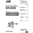 JVC GR-D250EW Instrukcja Obsługi